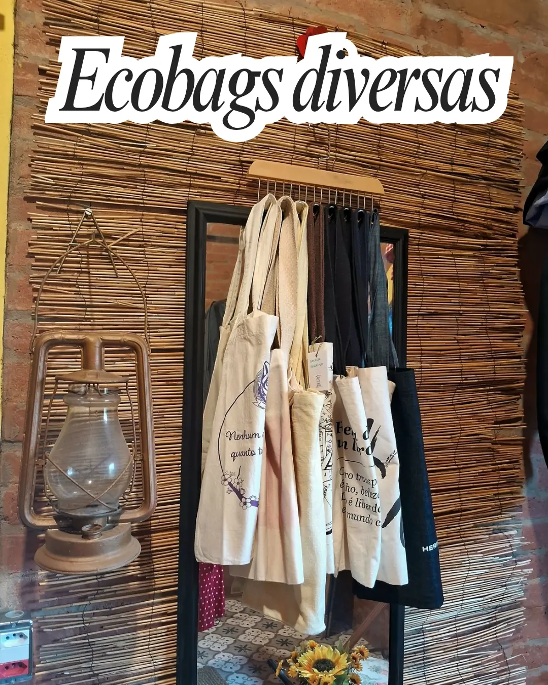 Ecobags de várias estampas penduradas